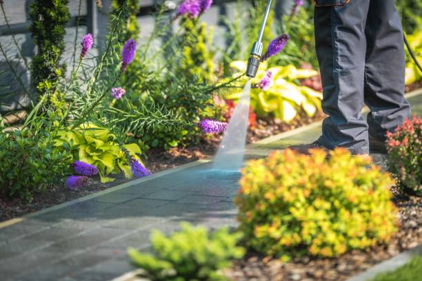 Best House Exterior Washing  in Lewiston, MN