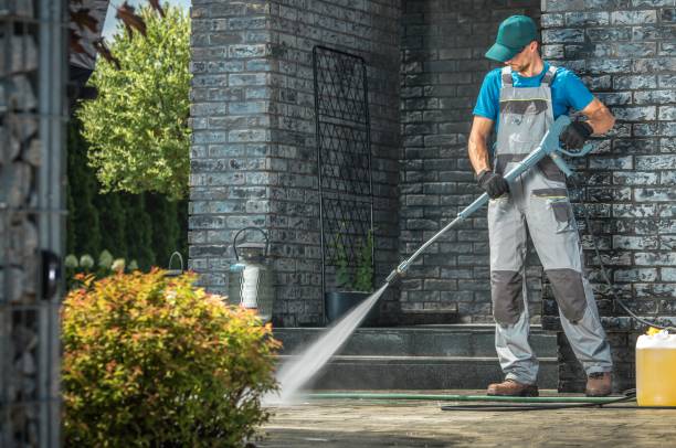 Best Dumpster Area Cleaning  in Lewiston, MN