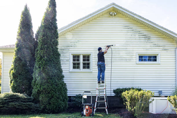 Reliable Lewiston, MN Pressure Washing Services Solutions